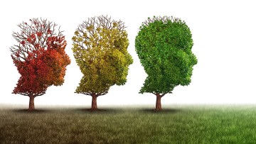 Alzheimer vorbeugen: Diese 12 Tipps helfen