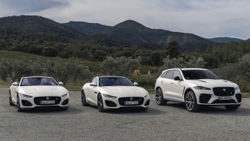 Jaguar Alpine Rally: Seidenmatt und selten