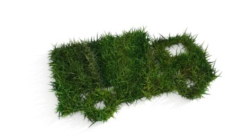 Lkw aus Gras grün